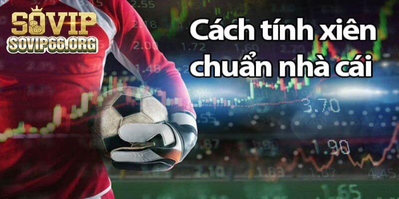 Cách tính cược xiên theo các kèo cơ bản tại nhà cái