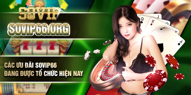 Các ưu đãi Sovip66 đang được tổ chức hiện nay