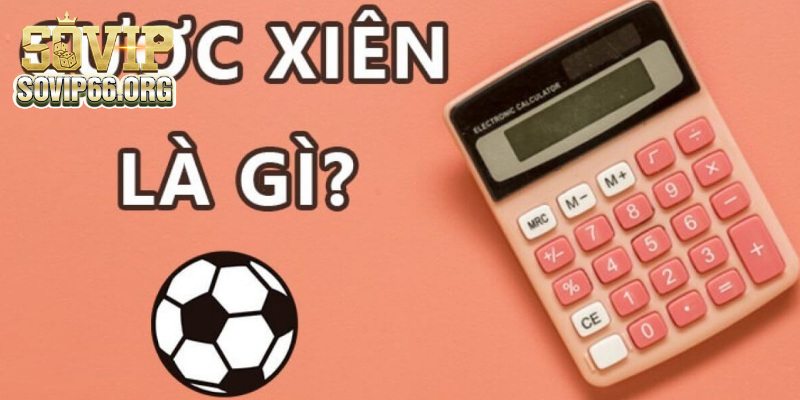 Luật cơ bản trong cược xiên là gì được nhiều người quan tâm