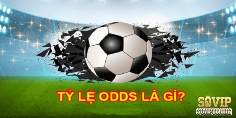 Hướng Dẫn Tỷ Lệ Odds Chi Tiết Và Cơ Bản Nhất Hiện Nay