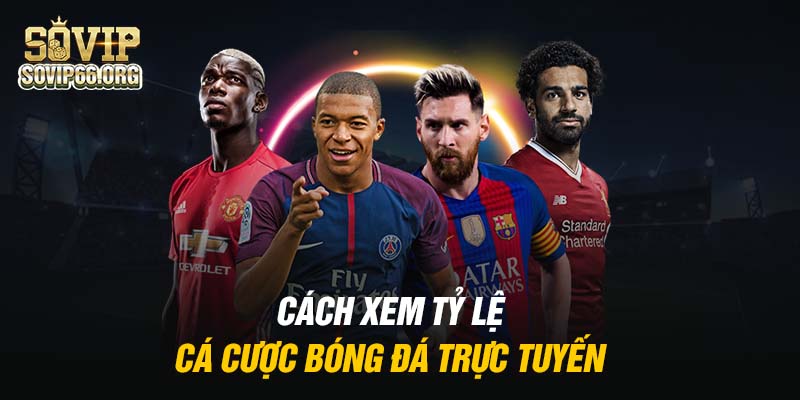 huong-dan-xem-ty-le-ca-cuoc-bong-da-truc-tuyen