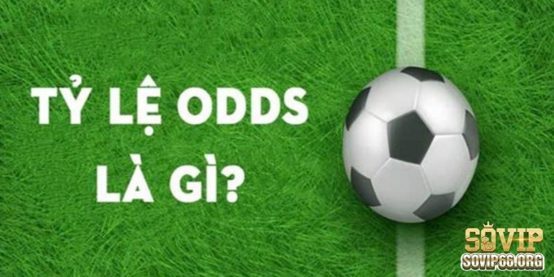 Các loại odds thông dụng trong cá độ