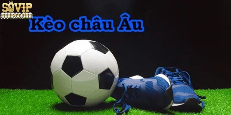 Cách Đánh Kèo Châu u Hiệu Quả Dành Cho Mọi Bet Thủ