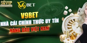 V9bet - Sân Chơi Đẳng Cấp Dành Cho Mọi Bet Thủ Yêu Cá Cược