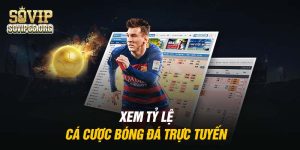 xem-ty-le-ca-cuoc-bong-da-truc-tuyen